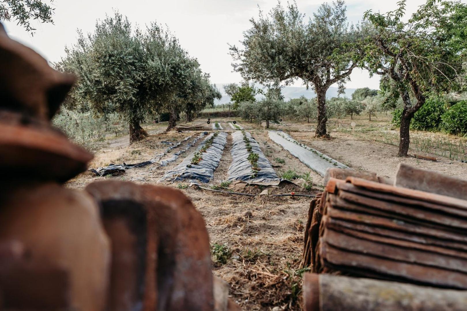 فندق Quinta De S. Miguel فوندَوْ المظهر الخارجي الصورة